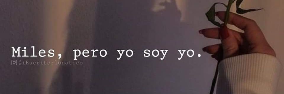 ... banner