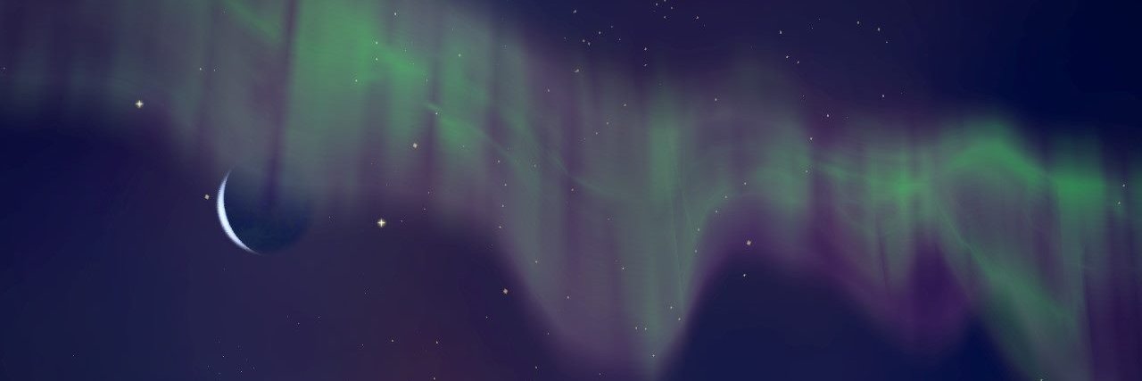 Nibs 🦜 banner