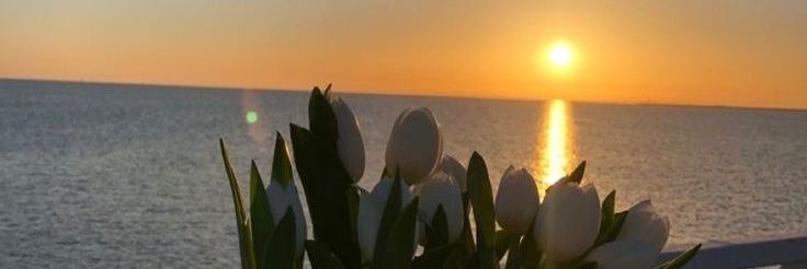 mishelrg28's profile banner image