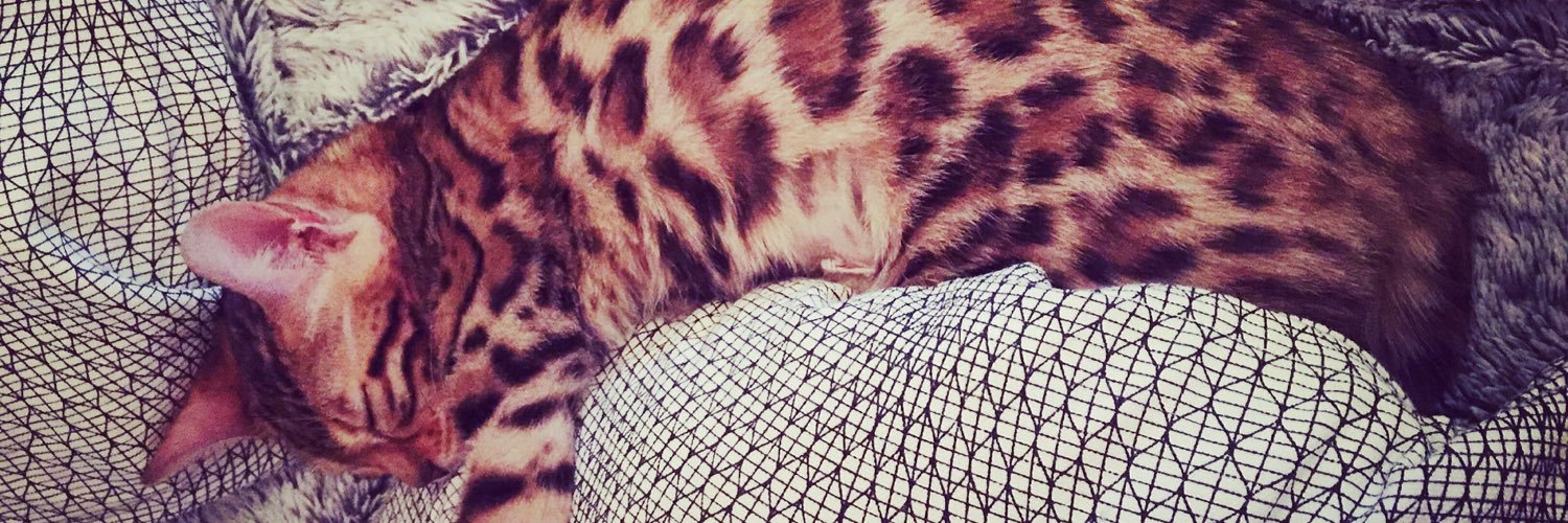Celine834's profile banner image
