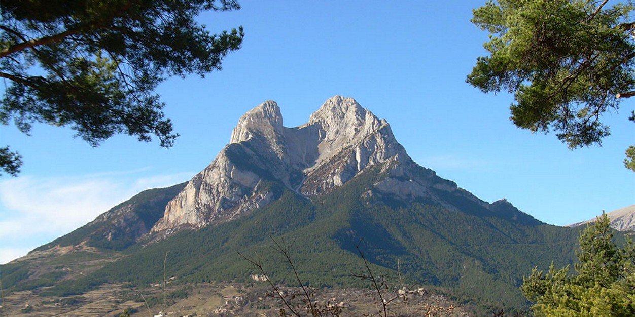 Félix Calvo banner