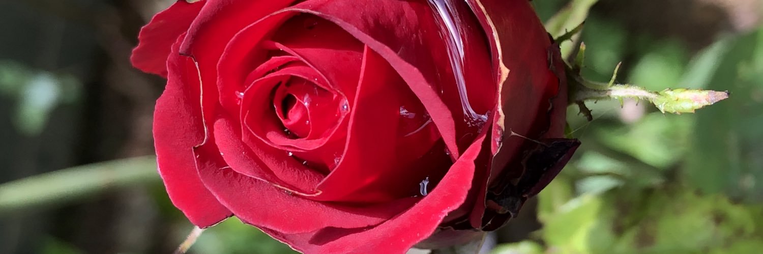 glmngigi's profile banner image