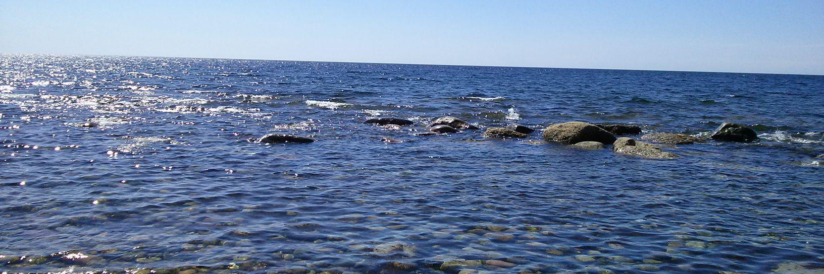 mrtinfoilsocket banner