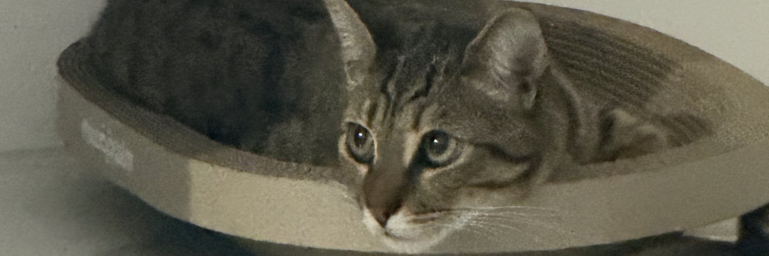 straat3's profile banner image