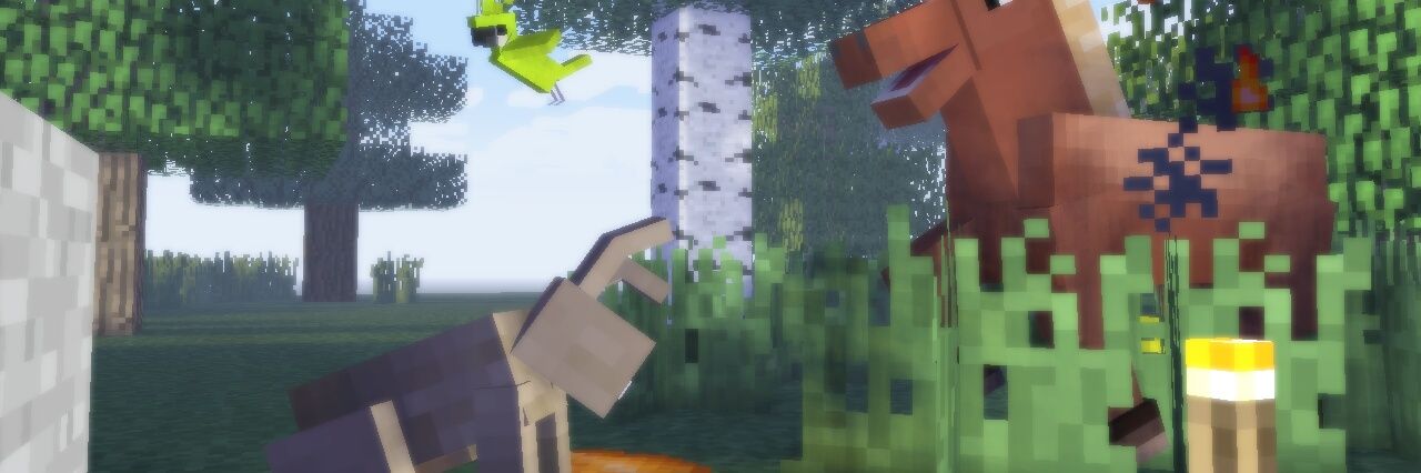 ExoticBuilder banner