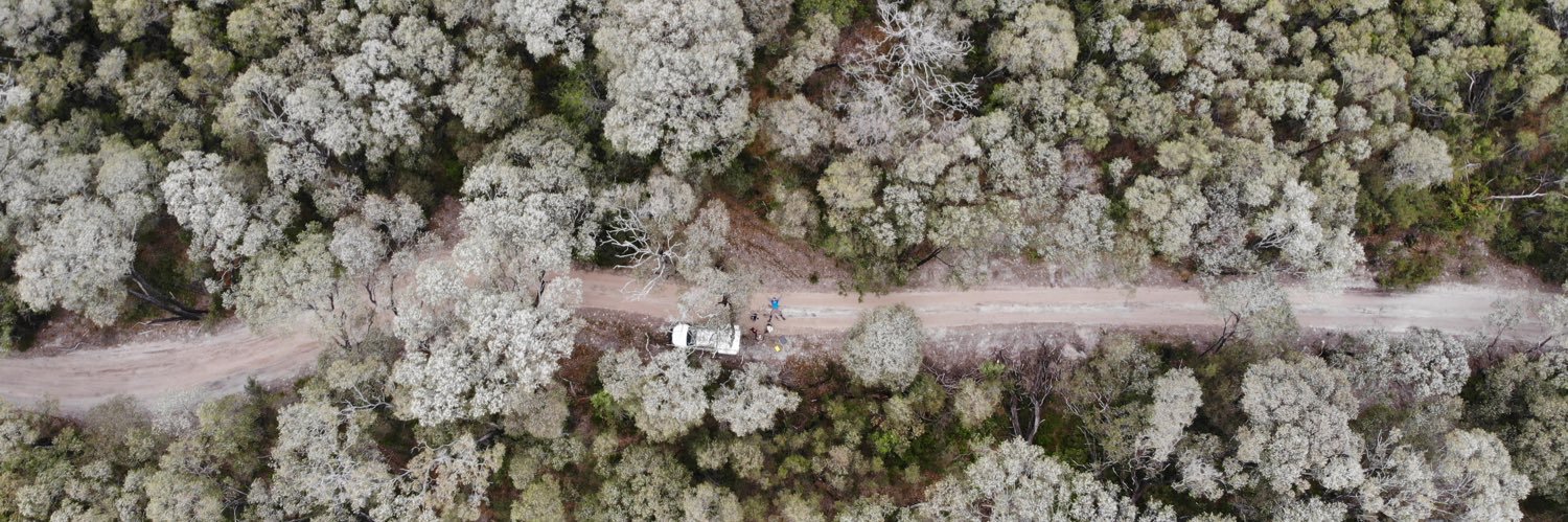 Plant Functional Ecology Lab banner
