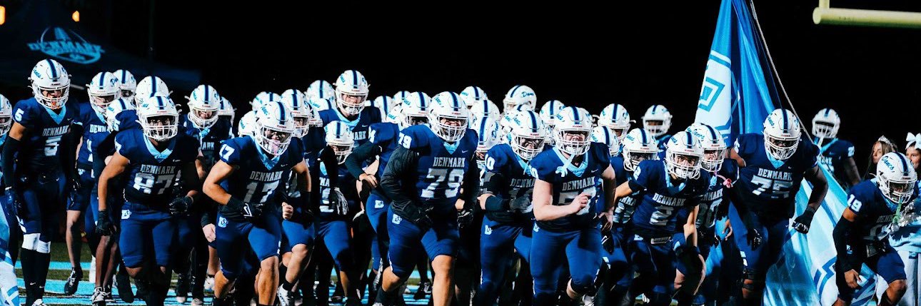 Denmark Football banner