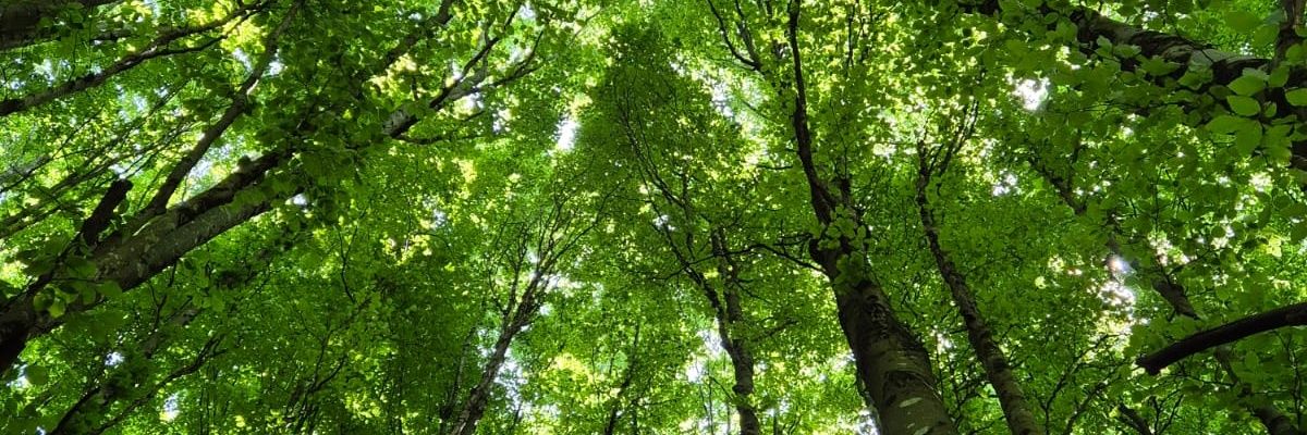 🚀 THE POWER OF DEFI 🚀 banner