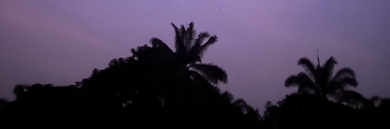 rinz234's profile banner image