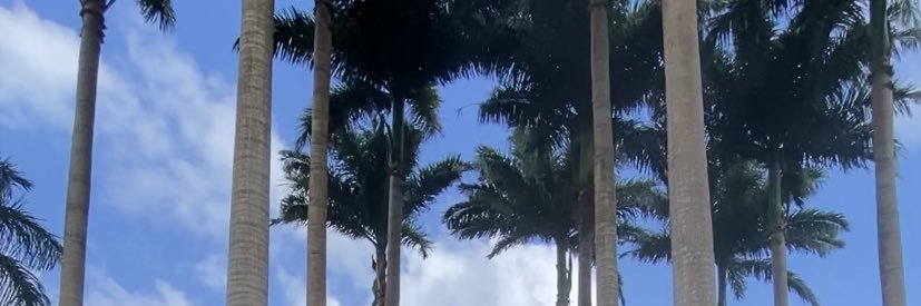 itsmathilde1's profile banner image
