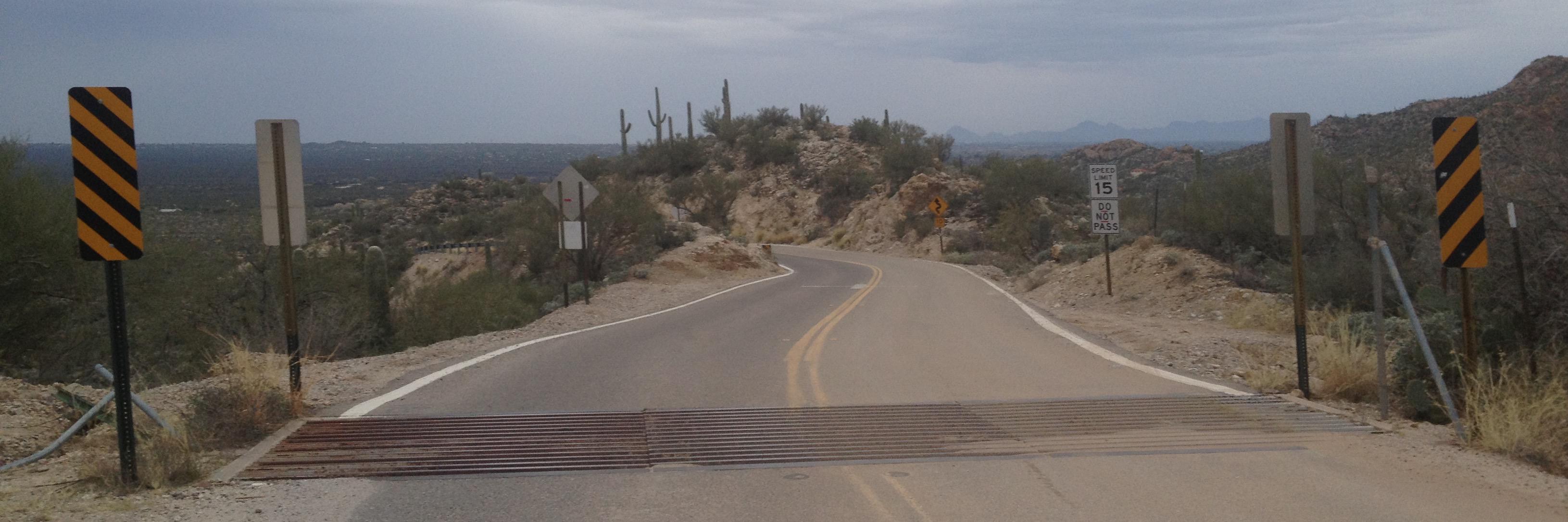 Christine Nesbitt OLY (she/her) banner