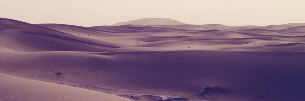 RobinDurwael's profile banner image