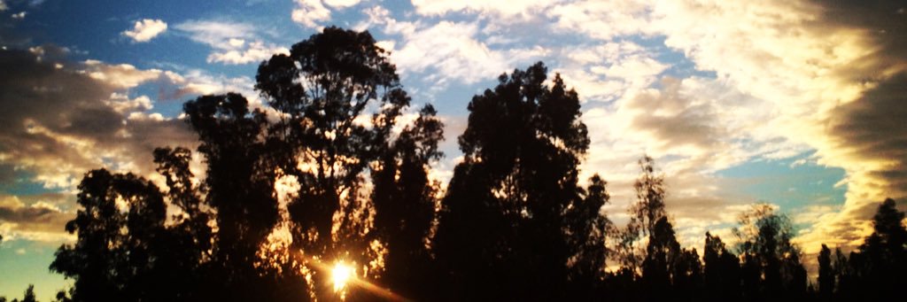 alexpatricks's profile banner image