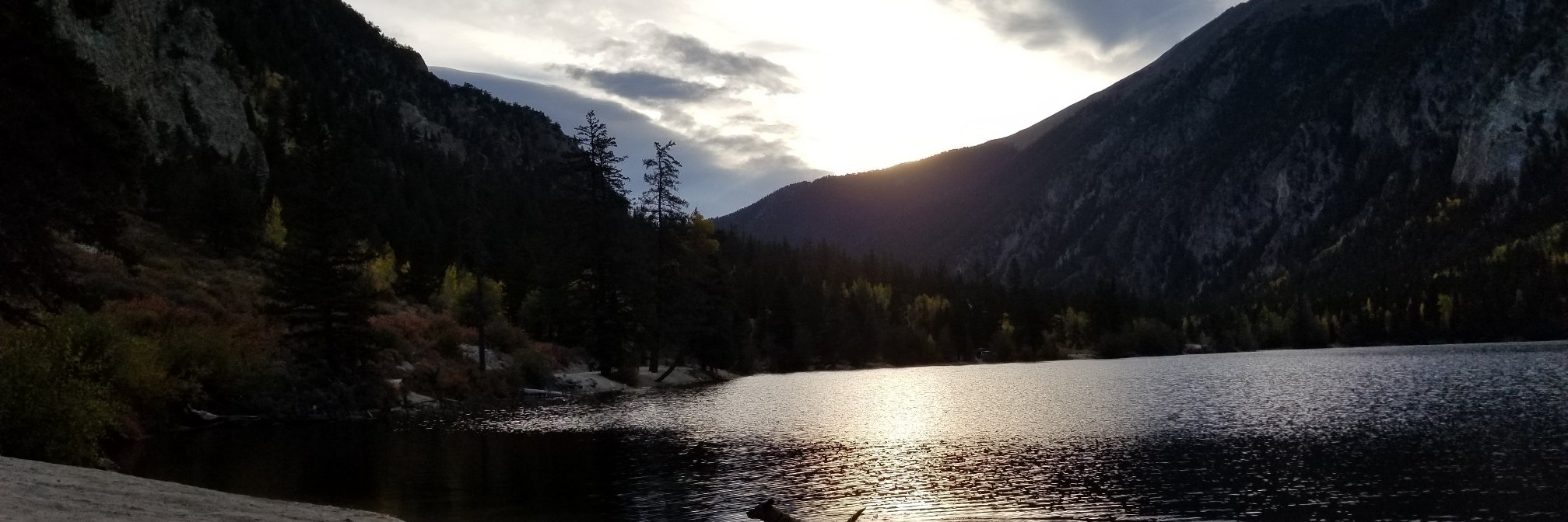 thisislizlee's profile banner image