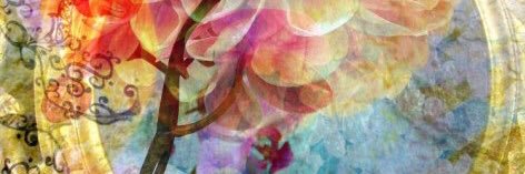 Leosun banner