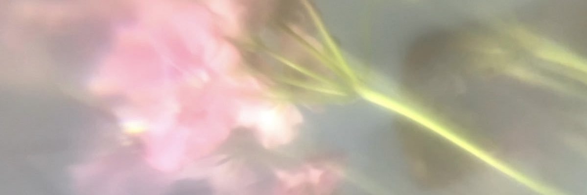 vee ⁷🪞⋆ ✧ ⋆˙⊹ banner