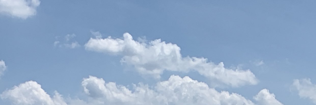 TkGoated🦋 banner
