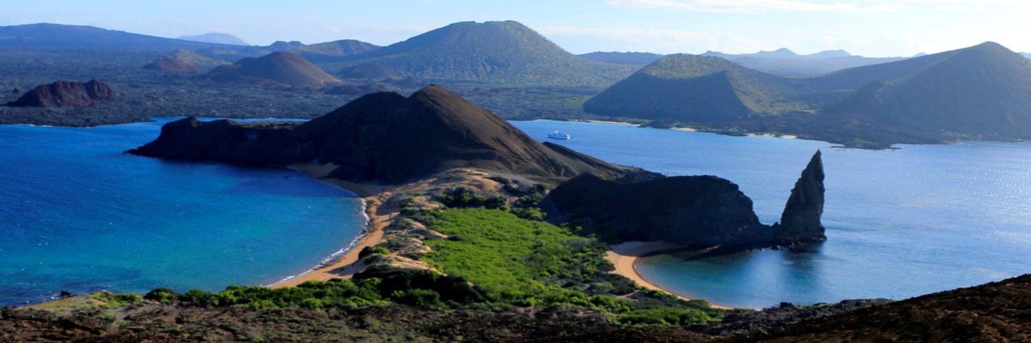 Liberal Lies Matter banner