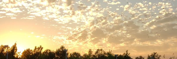 Frosty_Immunity Profile Banner