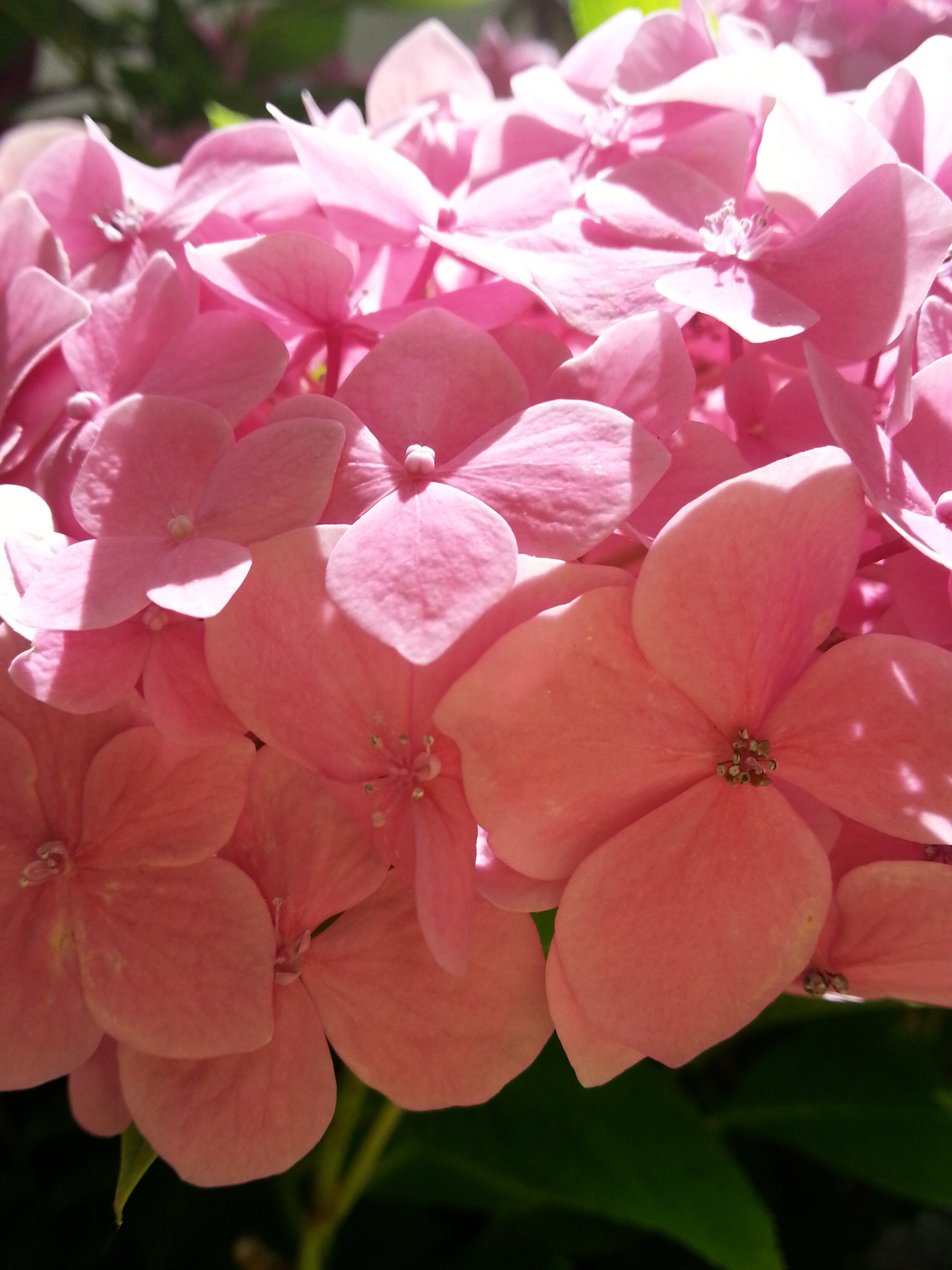 louferavi's profile banner image