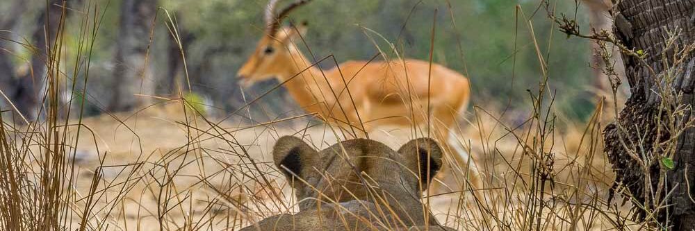 Austin Edmonds banner
