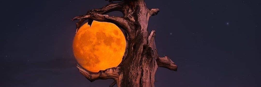 mariedwl3's profile banner image