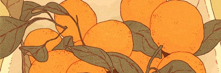vickyHN_'s profile banner image