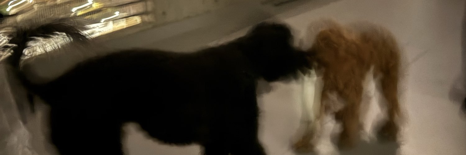 Saaabm's profile banner image