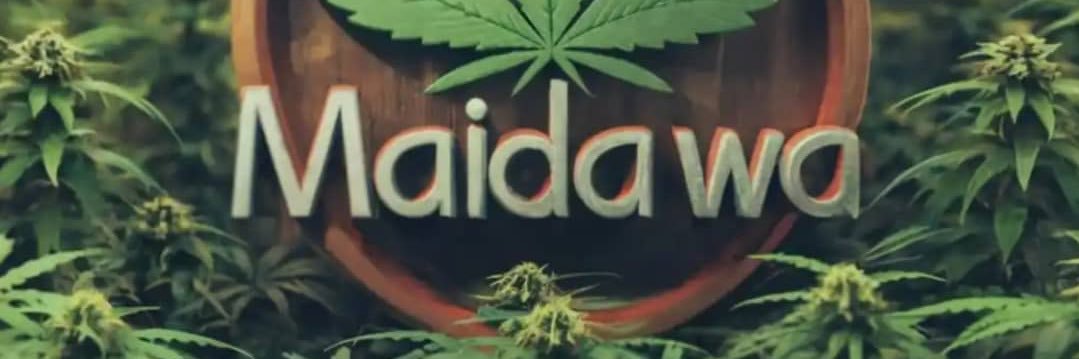 Maidawa_'s profile banner image