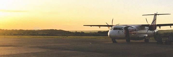 den banner