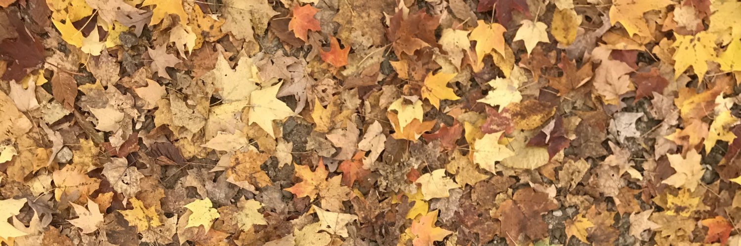 jenlynlinz's profile banner image