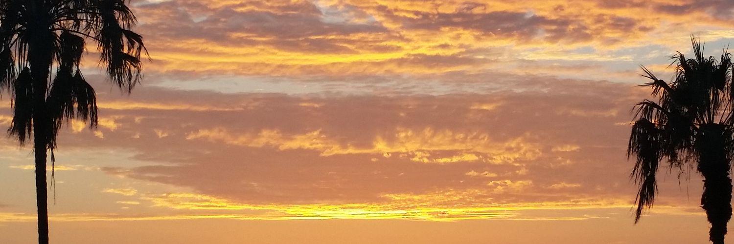 JustBeecuzzzz's profile banner image