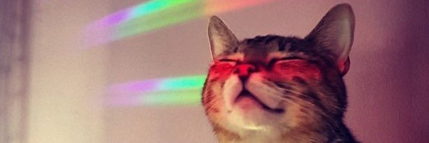 thedablady's profile banner image