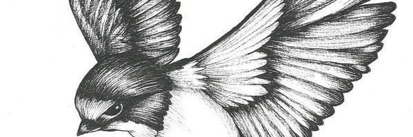 ANgel_Sc_'s profile banner image