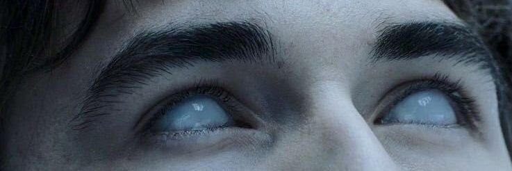 WilĹ ⚓ banner