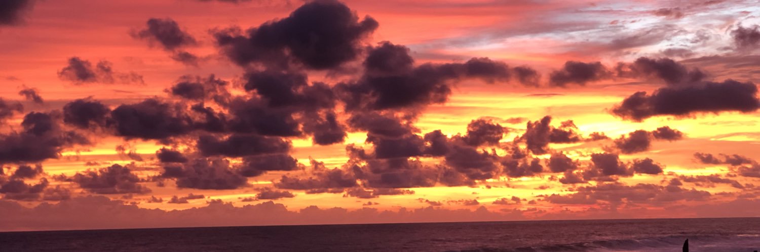 NancyDAguilar's profile banner image
