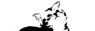 exoticways03's profile banner image