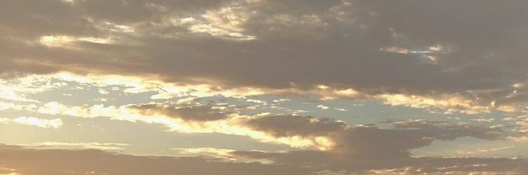 Maxsrine's profile banner image