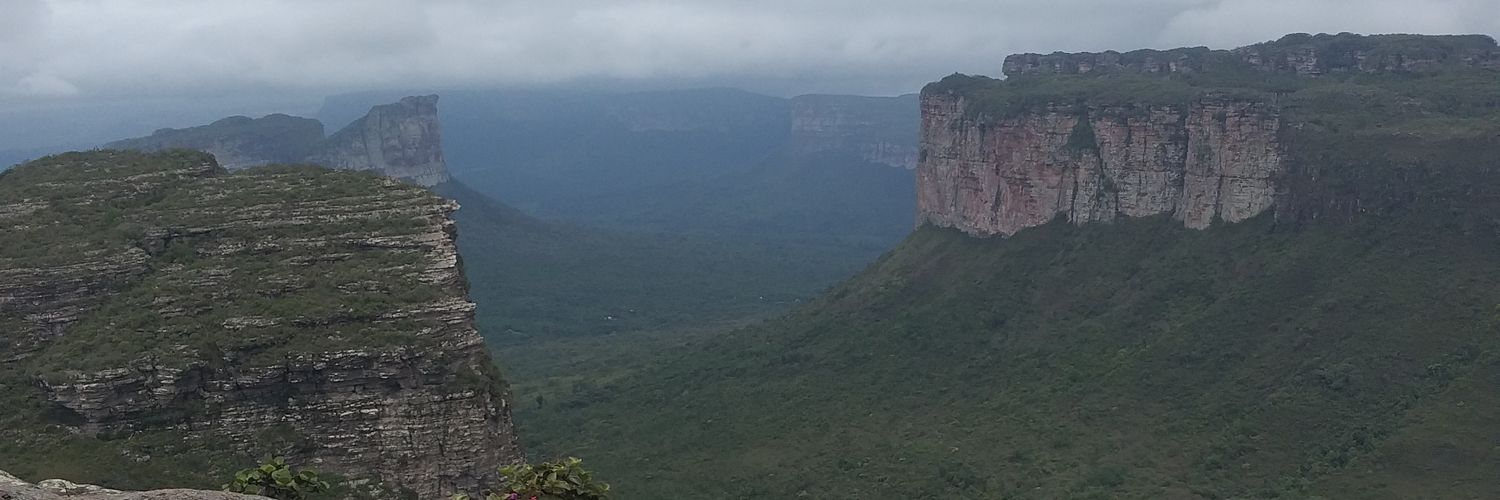 fernandizs's profile banner image