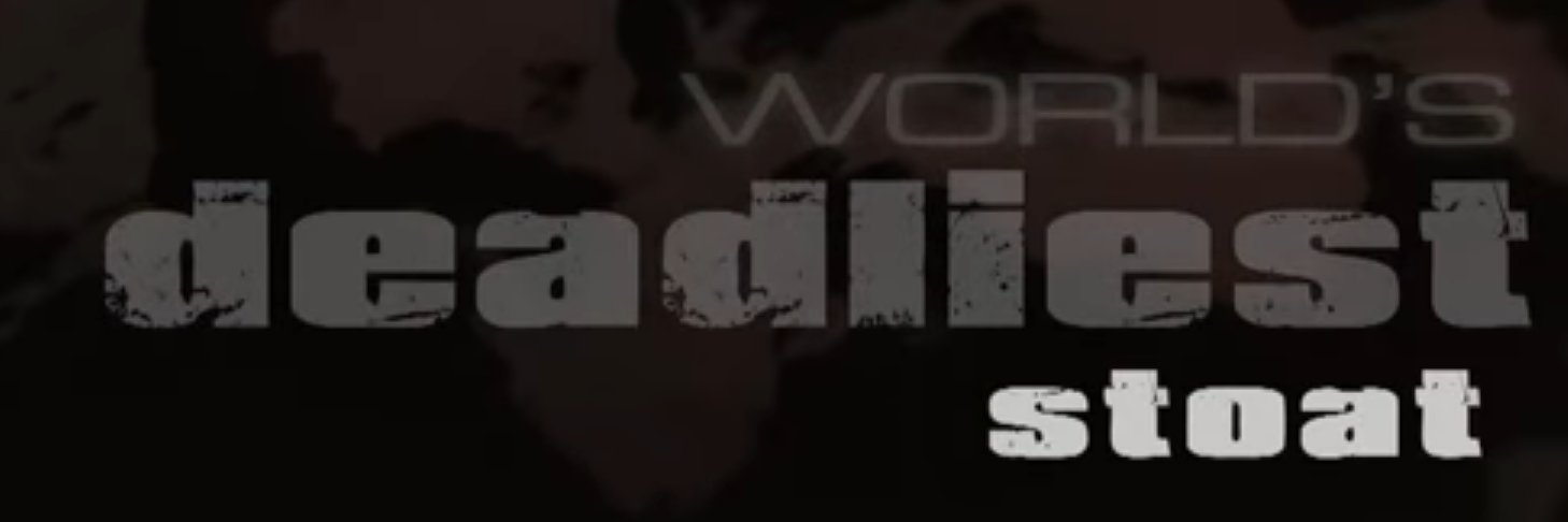 weasel online's banner