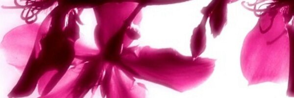 writteninwine Profile Banner