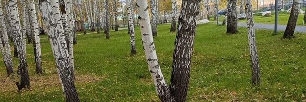 2512_nata Profile Banner