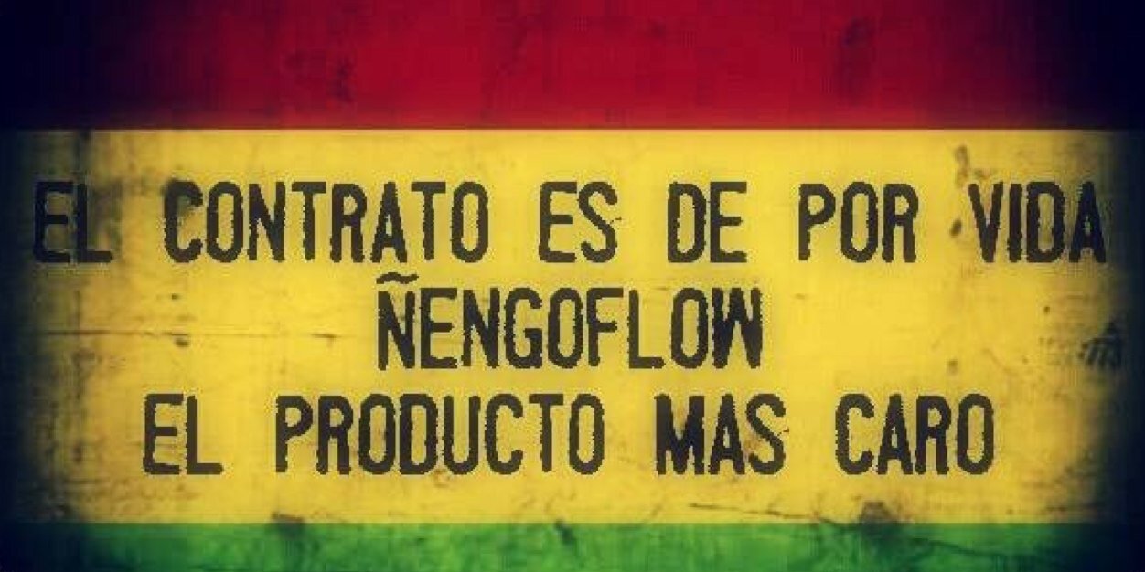 nengoflow_1's profile banner image