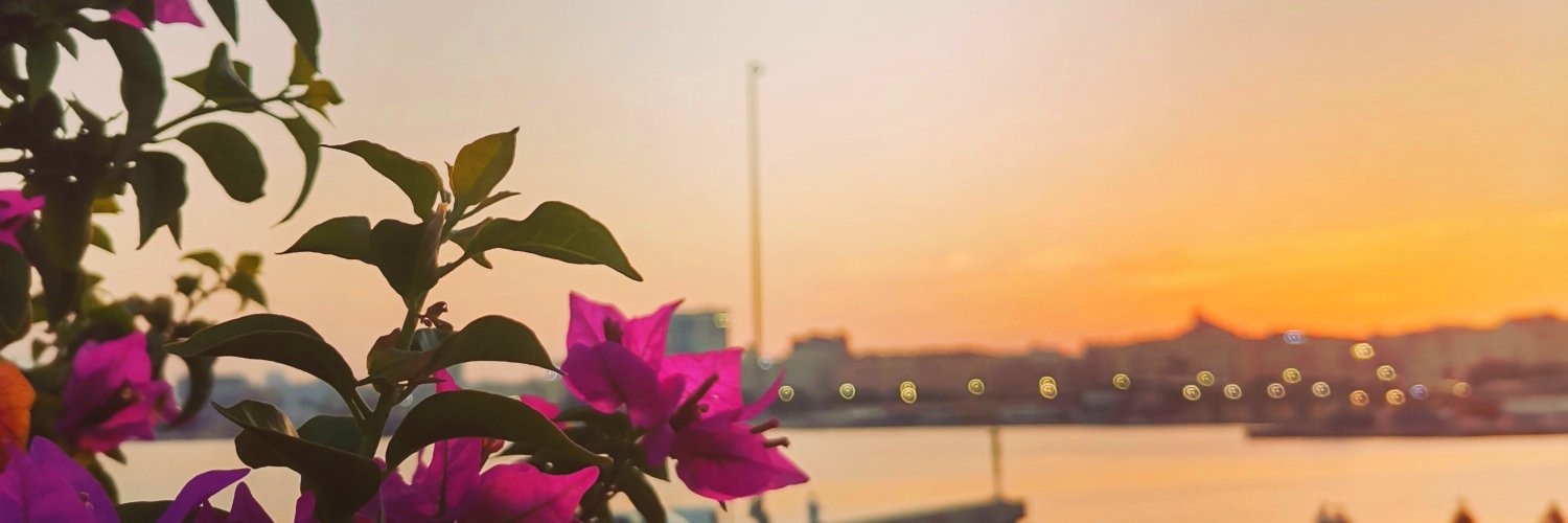Alberto☀️'s banner
