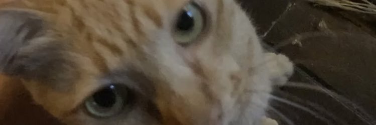 29thgorl's profile banner image