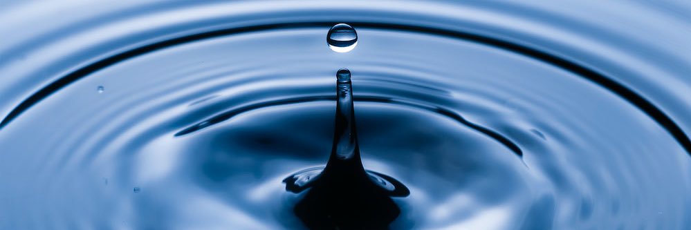 Sandra Garcia 🚢 banner