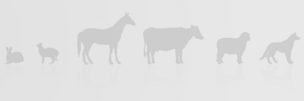 VETTrust Profile Banner