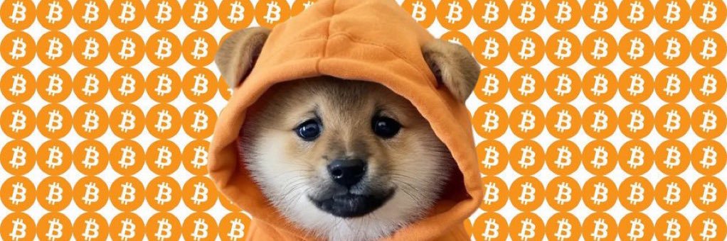 jonathan Ø ❤️ $DOG (🦉) banner