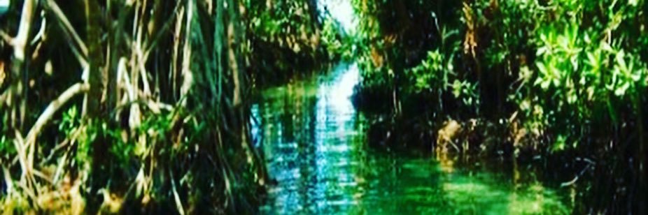 VantroySP14's profile banner image