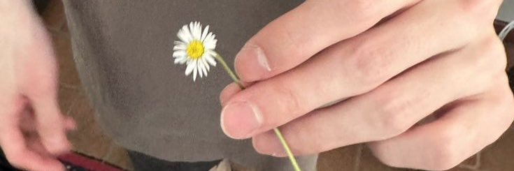 AnnieAnt🌷🌥 banner